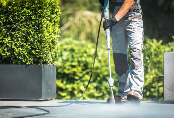 Best Driveway Pressure Washing  in West Sharyland, TX